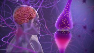 Rehabilitation After Cellular Treatment: Rebuilding Movement in Parkinson’s Disease